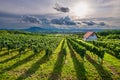 Vineyards with the Saint George Hill in Balaton Uplands, Hungary Royalty Free Stock Photo