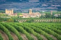 Vineyards with Sajazarra village as background, La Rioja, Spain Royalty Free Stock Photo