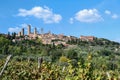 Vineyards in San Gimignano, Italy