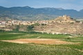 Vineyards with San Vicente de la Sonsierra village as background, La Rioja, Spain Royalty Free Stock Photo