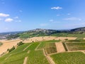 Vineyards of Sancerre appellation, making of dry white wine from sauvignon blanc grape growing on left bank of Loire river on