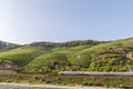 Vineyards on slopes of Bopparder Hamm over the Rhine Valley, Germany as a fast train passes below. Royalty Free Stock Photo