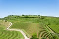 Vineyards from Soave.Italian wine. Royalty Free Stock Photo