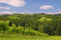 Vineyards in Styria,Austria Royalty Free Stock Photo