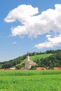 Vineyards in Styria,Austria Royalty Free Stock Photo