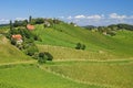Vineyards in Styria,Austria Royalty Free Stock Photo