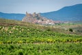 Vineyards with San Vicente de la Sonsierra village as background, La Rioja, Spain Royalty Free Stock Photo