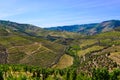 Vineyards Terraces, Douro Mountains Landscape, Oporto Wine