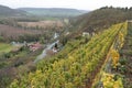 Vineyards in Thuringia Royalty Free Stock Photo