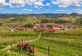 Vineyards and town of Barolo in Italy.