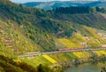 Vineyards, train and forest Royalty Free Stock Photo