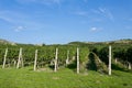 Vineyards under Palava. Czech Republic Royalty Free Stock Photo