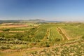 Vineyards under Palava. Czech Republic - South Moravian Region wine region. Royalty Free Stock Photo