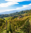 Italian vineyards landscape in Valdobbiadene
