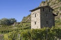 Vineyards in Valtellina