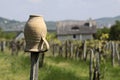 Vineyards and village church at Lake Balaton Royalty Free Stock Photo