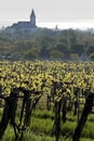 Vineyards and village church at Lake Balaton Royalty Free Stock Photo