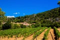 Vineyards, village and mountains.