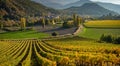 Vineyards and the village of Valserres in Autumn. Winery and grape vines in the Hautes-Alpes