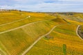 Vineyards and a vineyard house in the Rheingau / Germany in autumn