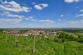 Vineyards in Wachenheim in Rhineland-Palatinate, Germany Royalty Free Stock Photo