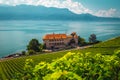 Vineyards and waterfront house on lake Geneva, Rivaz, Switzerland