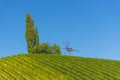 Vineyards and windmill along South Styrian Wine Road, a charming region on the border between Austria and Slovenia with green