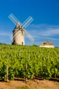 vineyards with windmill near ChÃÂ©nas, Beaujolais, Burgundy, Franc