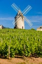 vineyards with windmill near ChÃÂ©nas, Beaujolais, Burgundy, Franc Royalty Free Stock Photo