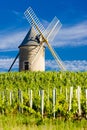 vineyards with windmill near ChÃÂ©nas, Beaujolais, Burgundy, Franc Royalty Free Stock Photo