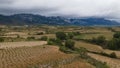 Vineyards in the wine-making region of La Rioja, Spain Royalty Free Stock Photo