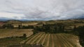 Vineyards in the wine-making region of La Rioja, Spain Royalty Free Stock Photo