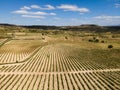 Vineyards in the wine-making region of La Rioja, Spain Royalty Free Stock Photo