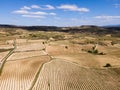 Vineyards in the wine-making region of La Rioja, Spain Royalty Free Stock Photo