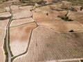 Vineyards in the wine-making region of La Rioja, Spain Royalty Free Stock Photo