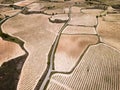 Vineyards in the wine-making region of La Rioja, Spain Royalty Free Stock Photo