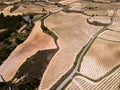 Vineyards in the wine-making region of La Rioja, Spain Royalty Free Stock Photo