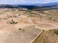 Vineyards in the wine-making region of La Rioja, Spain Royalty Free Stock Photo