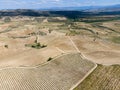 Vineyards in the wine-making region of La Rioja, Spain Royalty Free Stock Photo