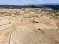 Vineyards in the wine-making region of La Rioja, Spain Royalty Free Stock Photo