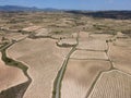 Vineyards in the wine-making region of La Rioja, Spain Royalty Free Stock Photo