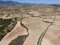 Vineyards in the wine-making region of La Rioja, Spain Royalty Free Stock Photo