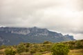 Vineyards in the wine-making region of La Rioja, Spain Royalty Free Stock Photo