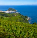 Vineyards and wine production with the Cantabrian sea in the background Royalty Free Stock Photo