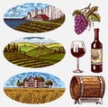 Vineyards and Wine Set. Grapes and wooden barrel. Vine plantation for bottle labels. Rural Fields Wheat Hills. Engraved