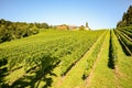 Vineyards and winery along the South Styrian Wine Road in autumn, Austria