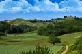 Vineyards and woods on the hill side Monte Dell`Olmo located in the municipality of Vinchio Piemonte Italy Royalty Free Stock Photo