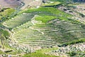 Vineyars in Douro Valley