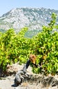 vineyars near Saint-Paul-de-Fenouillet, Languedoc-Roussillon, Fr