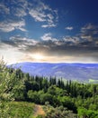 Vineyeard in Chianti, Tuscany, Italy, famous lands Royalty Free Stock Photo